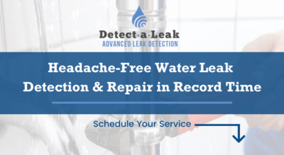 Detect-a-Leak MS