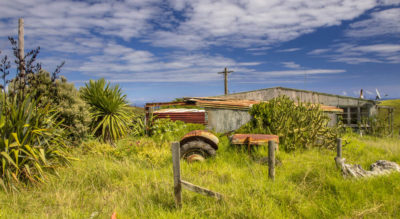 How to Hide Your Neighbors Ugly Yard?
