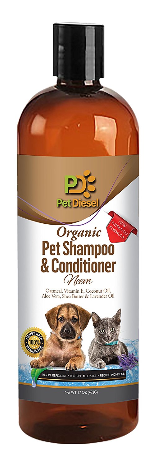 Pet Shampoo & Conditioner Global Cool