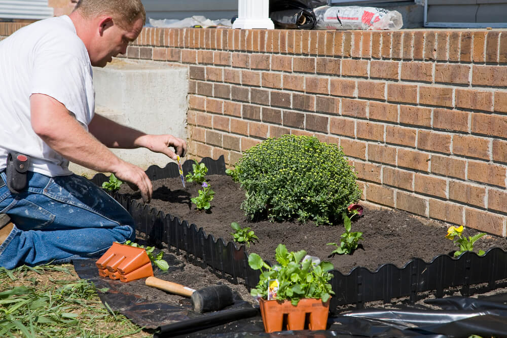 How to Improve Garden Water Drainage