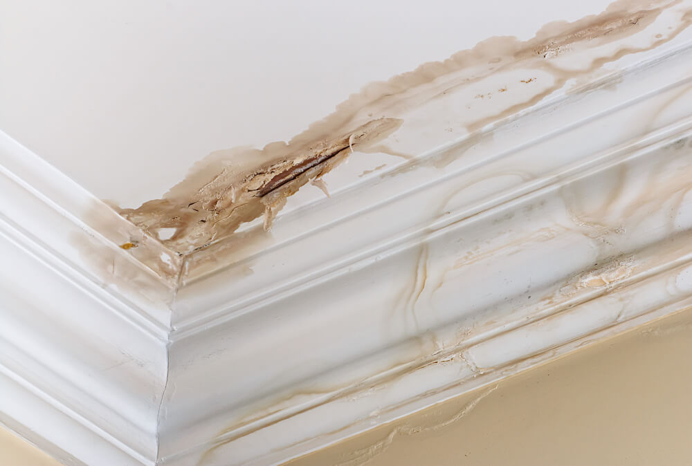 How to Repair a Water Damaged Ceiling