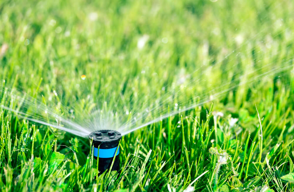 My Sprinkler Head Won’t Pop Up What Should I Do