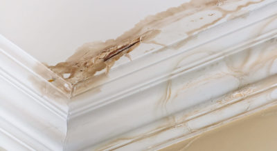 Water Leak at Home, What to Do?