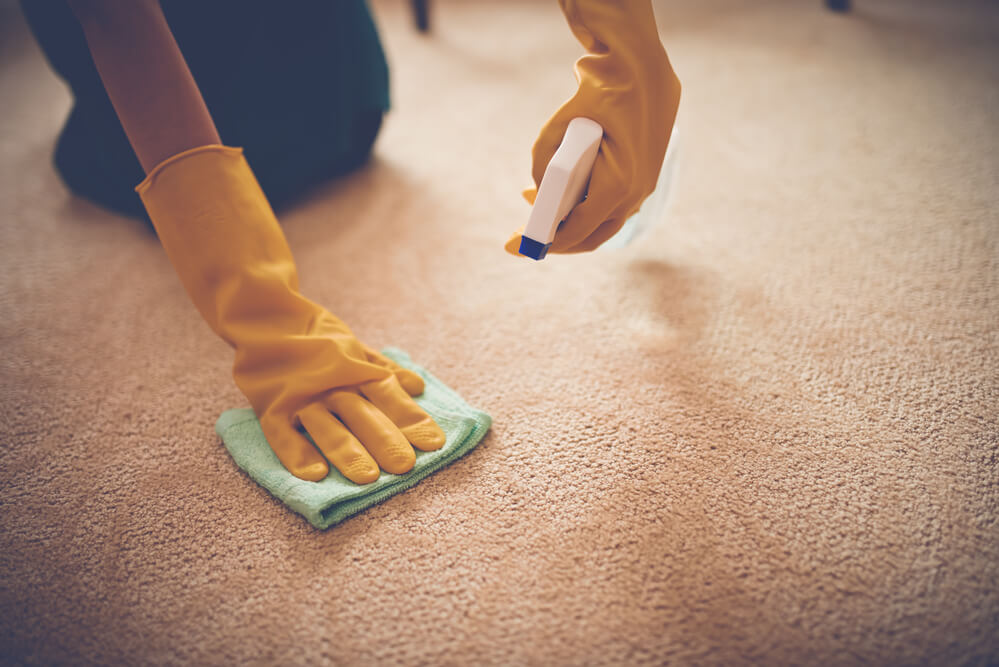 How To Get Lipstick Out of Carpet?