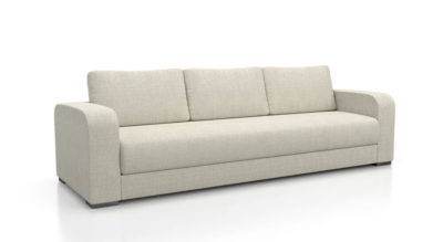 Can Ticks Live In Couches?