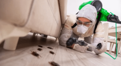 Pest Control GTA Exterminator